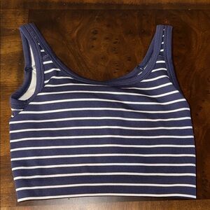 Striped Navy and White Crop Top